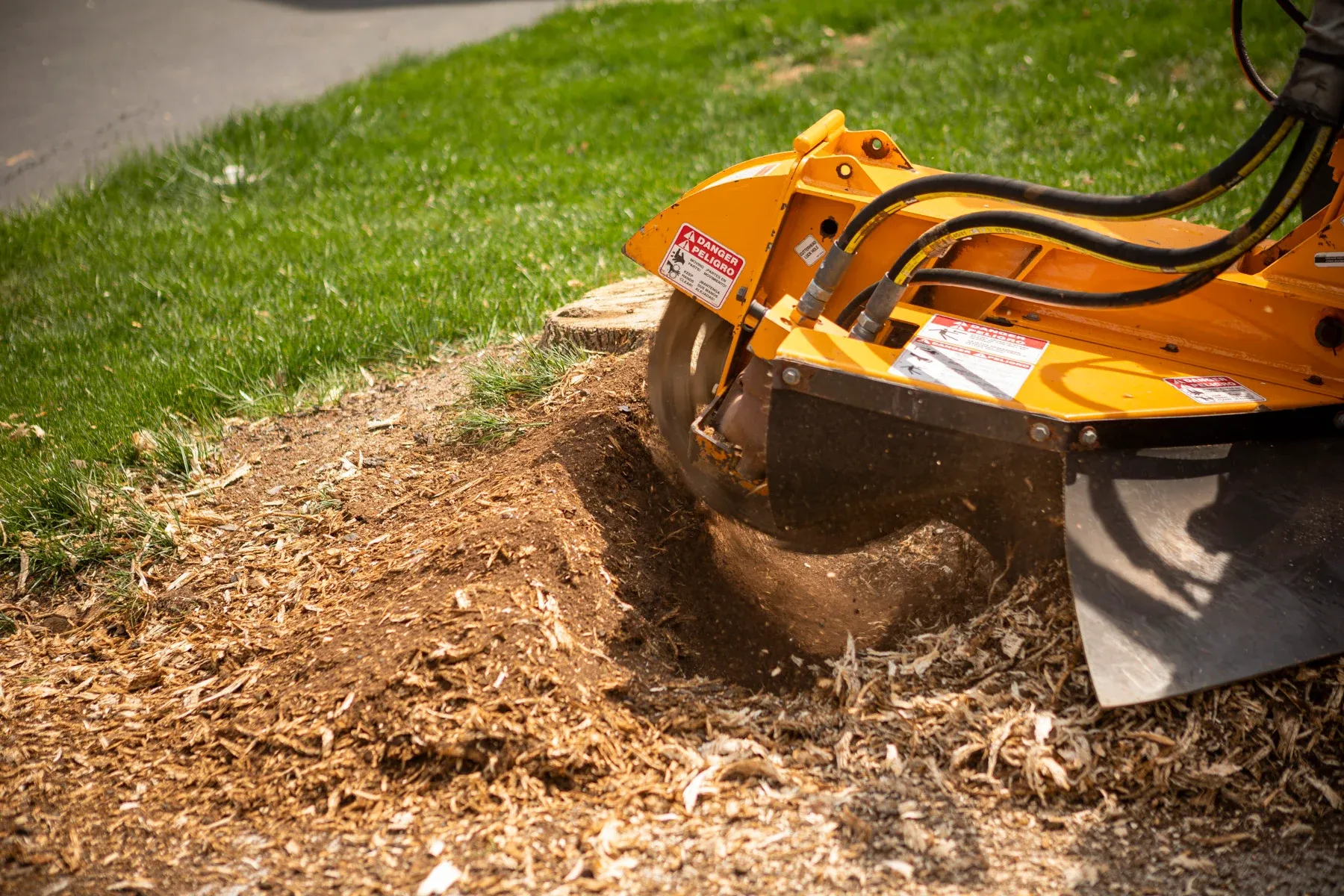 Professional stump grinding in progress